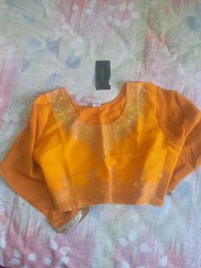 Elegant Orange Saree with Embellishments