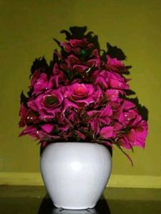 SP Enterprises Bonsai Rose Artificial
