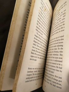 The Girl Who Loved A Spy