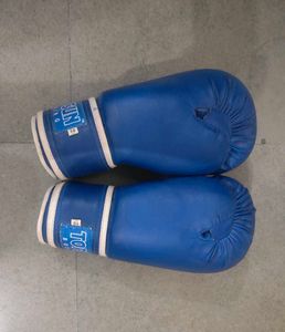 Blue Boxing Gloves