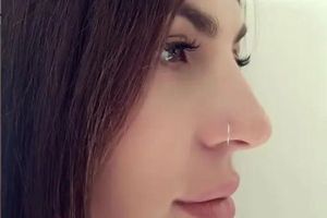 Minimalist Nose Hoop Ring
