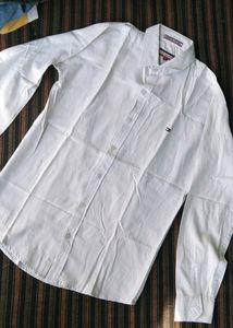 Tommy Hilfiger Shirt