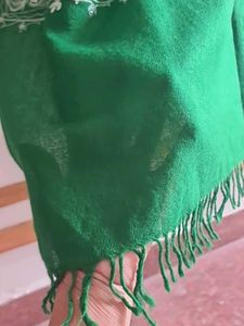 PRICE DROP : Elegant Green Ethnic woolen stole