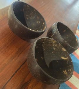 Set of 2 Natural Coconut Bowls