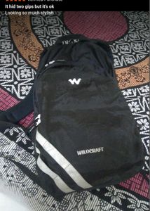 Wildcraft Backpack