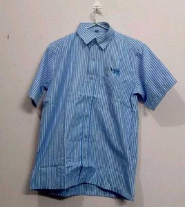 Men's Blue Striped Short Sleeve Shirt