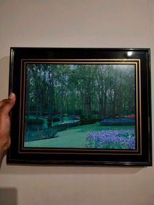 Set of 3 Glass Framed Pictures