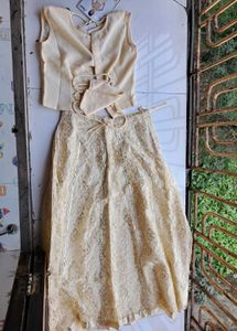 Elegant Embroidered Lehenga Choli
