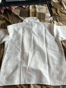 White Collared Short Sleeve Top