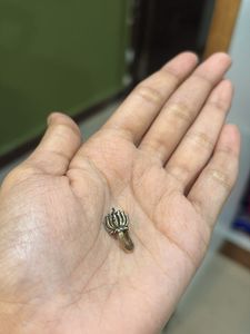 Stud Earrings