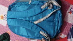 Skybags Backpack