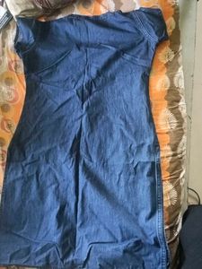 Denim Kurti with Bird Print