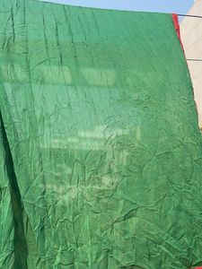 Green Dupatta with Red Border