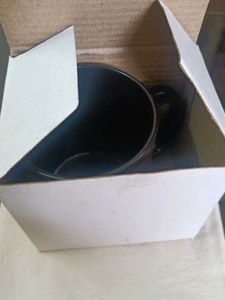 Brand New Milk/Coffee Mugs Bone China With Box