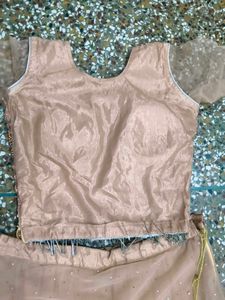 Elegant Lehenga Choli Set