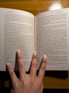 Things Fall Apart - Chinua Achebe