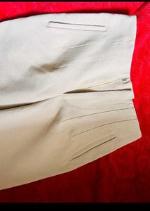 Stylish Beige Trousers
