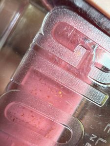 Maybelline Lifter Gloss