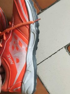Men Sport Shoe