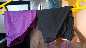 Panty