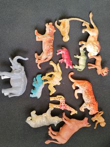 Wild Animals set
