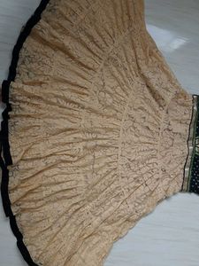 Elegant Lace Anarkali Gown