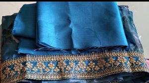 Beautiful Organza Saree