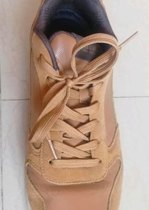 original skechers shoes..