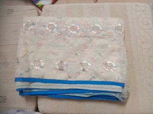 Embroidered Cream Saree with Blue Border