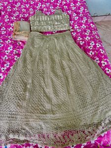 Designer Lehenga Choli Set