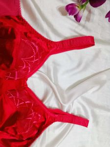 🇳🇿💫🎀Elegant Red Satin Bra
