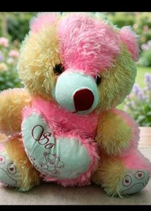 taddy with heart pillow combo