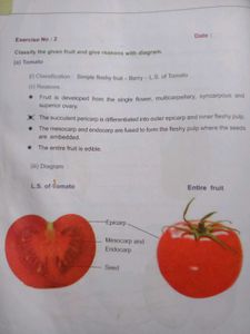 Tamil Nadu Class X Science Textbook