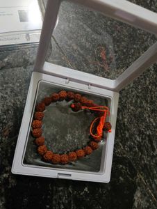 Natural Rudraksha bracelet