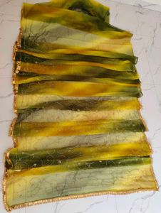 Beautiful Ombre Green Yellow saree