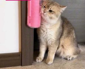 Cat Self Grooming Corner Brush