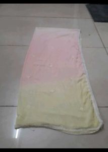 Elegant Ombre Dupatta