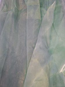 Sheer Emerald Green Dupatta