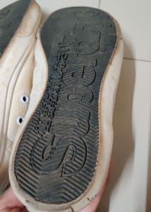 Superdry Cream Canvas Sneakers