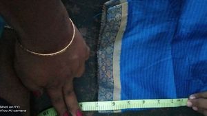 Blue Striped Saree Blouse