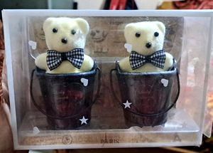 Decorative And Gifted Teddy Bear