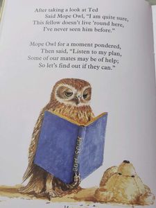 Teddy's Night Lost In The Bush Book-hard cover