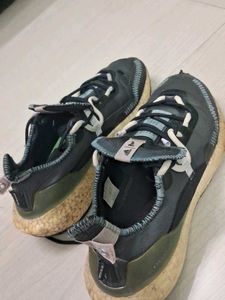 Adidas Ultraboost Running Shoes