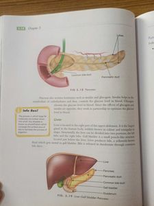 Pearson Biology Class 10 foundation series