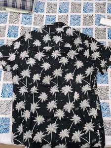 Men's Black Palm Tree Casual Shirt