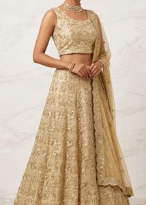 Elegant Gold Lehenga Choli Set