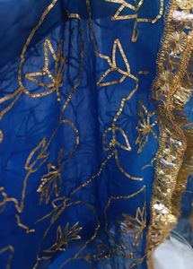 Blue Dupatta and grara with Gold Embellishments