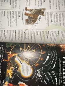 DK Children's Book Bundle