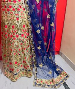 Elegant Embroidered Lehenga Choli