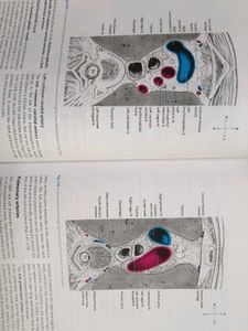 Cunningham's Manual of Practical Anatomy